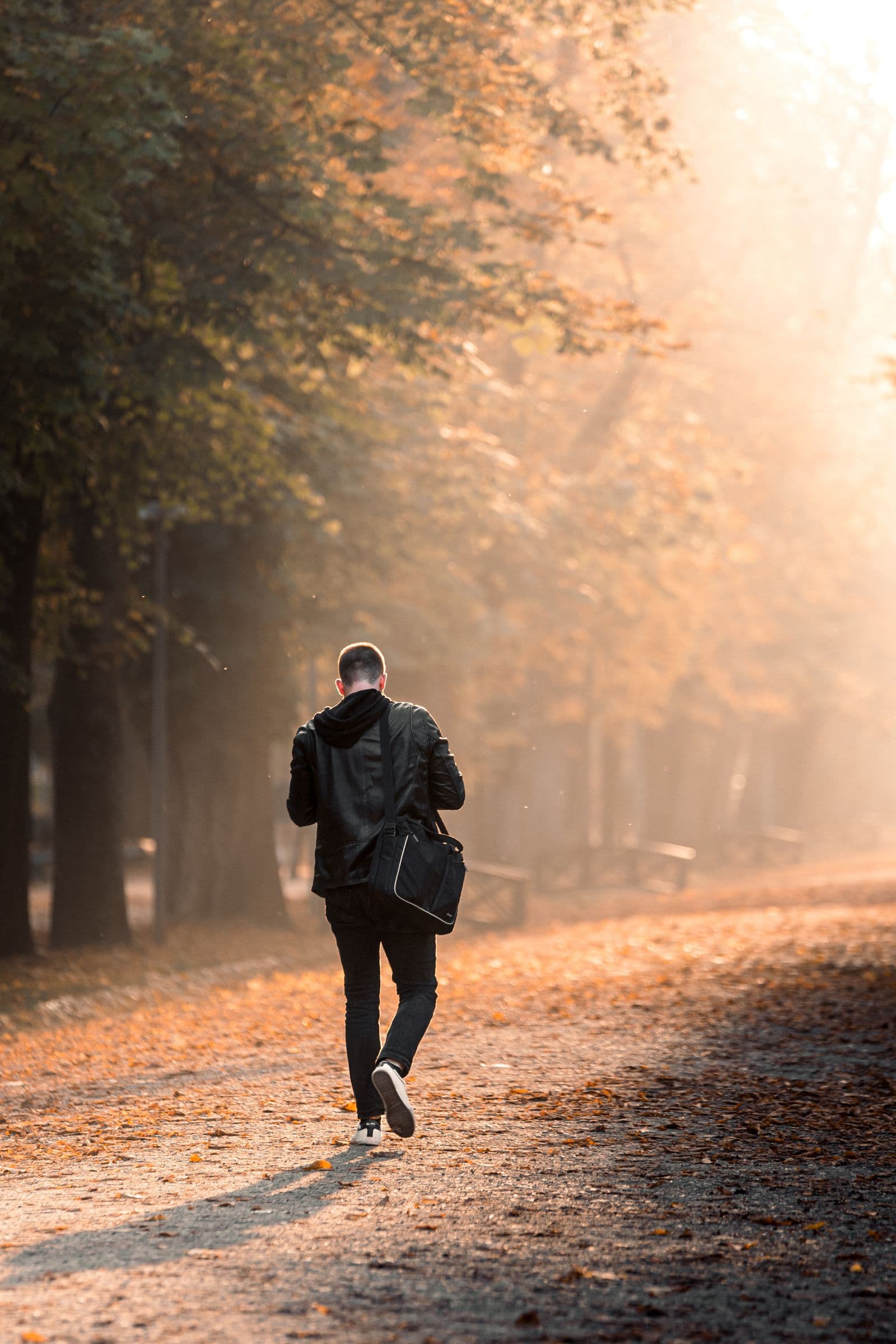 A man walking alone down a sunlit autumn path
